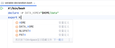 Variable Declaration Completion in BashSupport Pro