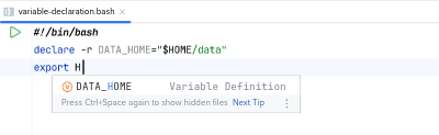 Variable Declaration Completion in BashSupport Pro