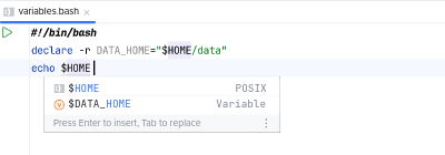 Completion of script variables in BashSupport Pro