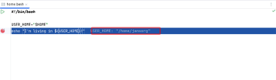 Inlay hints of BashSupport Pro's debugger