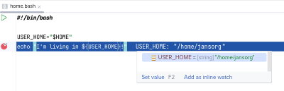 Inlay watches of BashSupport Pro's debugger