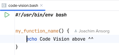 Code vision für eine Funktionsdefinition