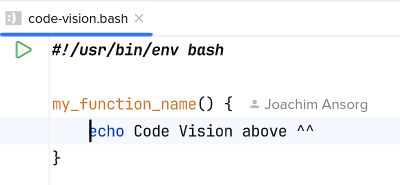 Code vision for a function definition