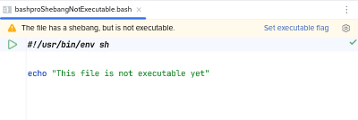 File with shebang is not executable