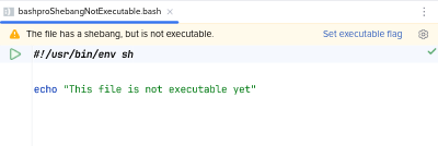 包含 shebang 的文件不可执行