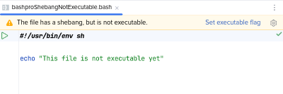 File with shebang is not executable