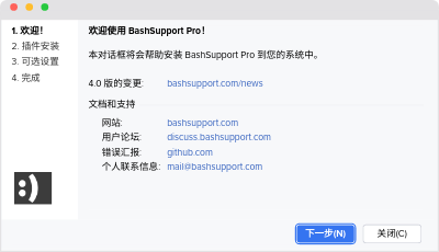 Setup wizard of BashSupport Pro