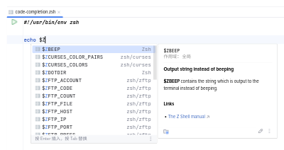 Code completion of Zsh builtin variables
